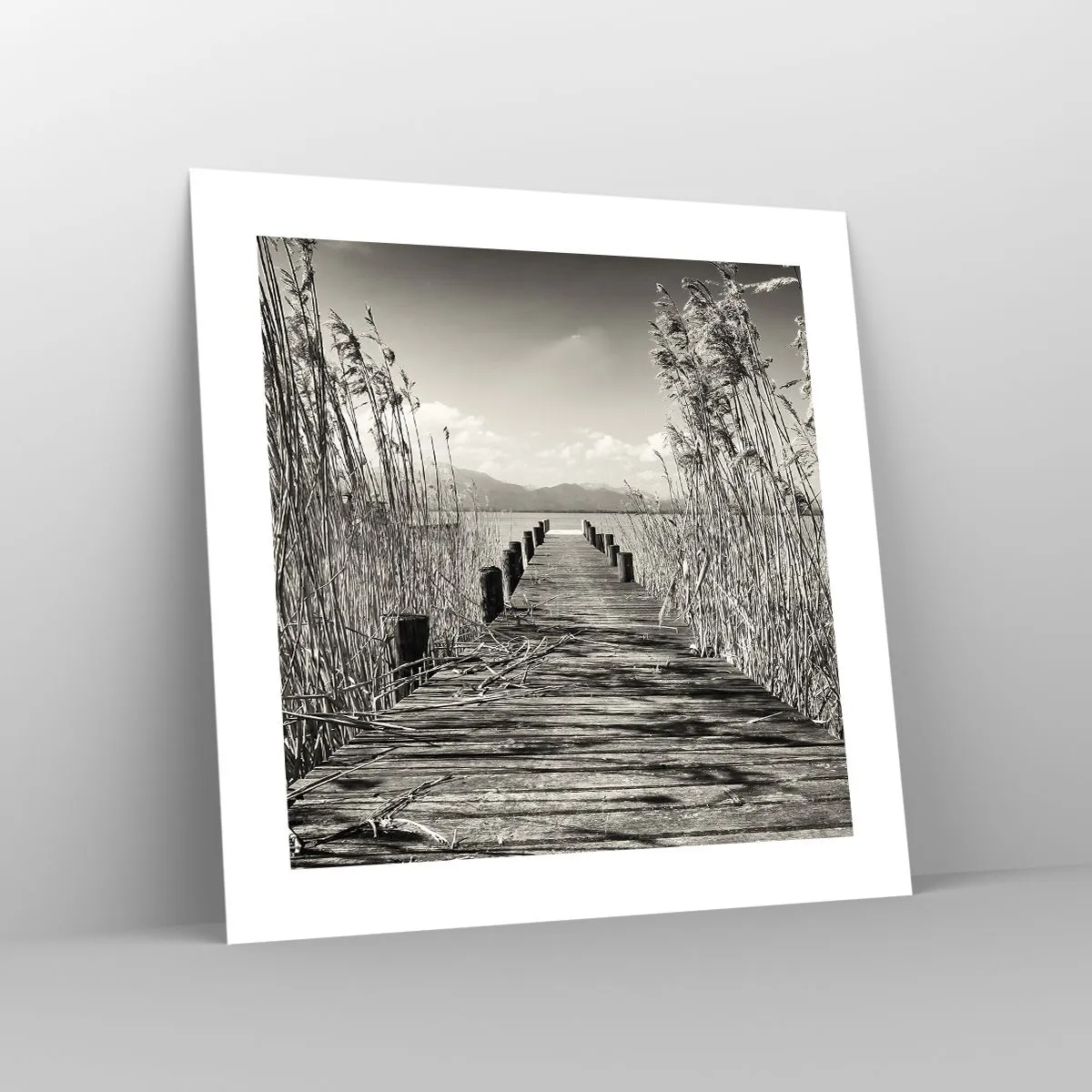 Affiche - Poster - Dans le calme de l'herbe - 40x40 cm