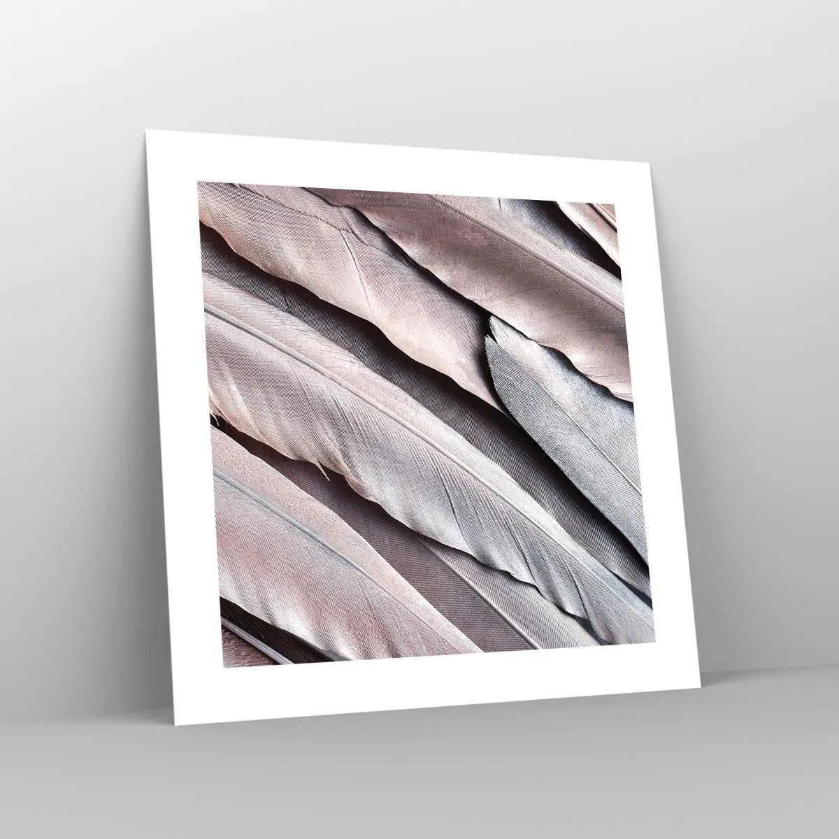 Plakat - W różowej srebrzystości - 40x40 cm