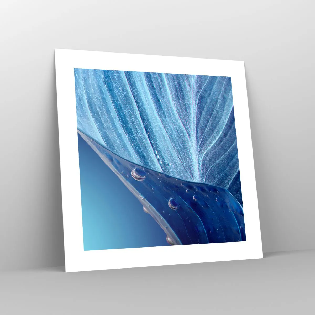 Poster - Picături ascunse de albastru - 40x40 cm