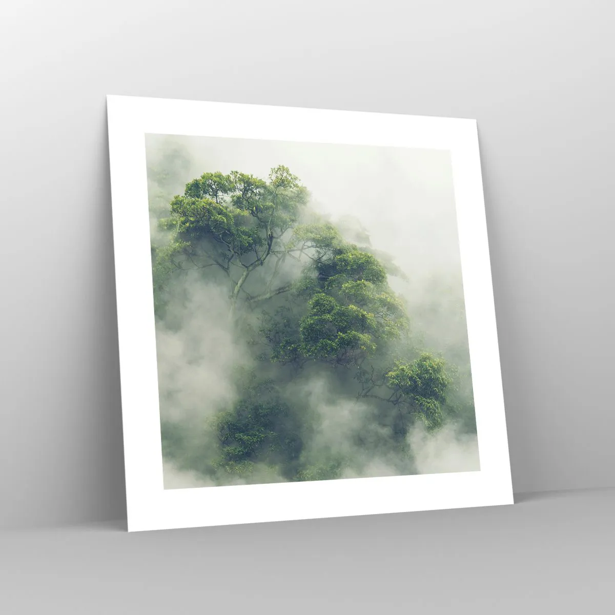 Affiche - Poster - Enveloppé de brouillard - 40x40 cm