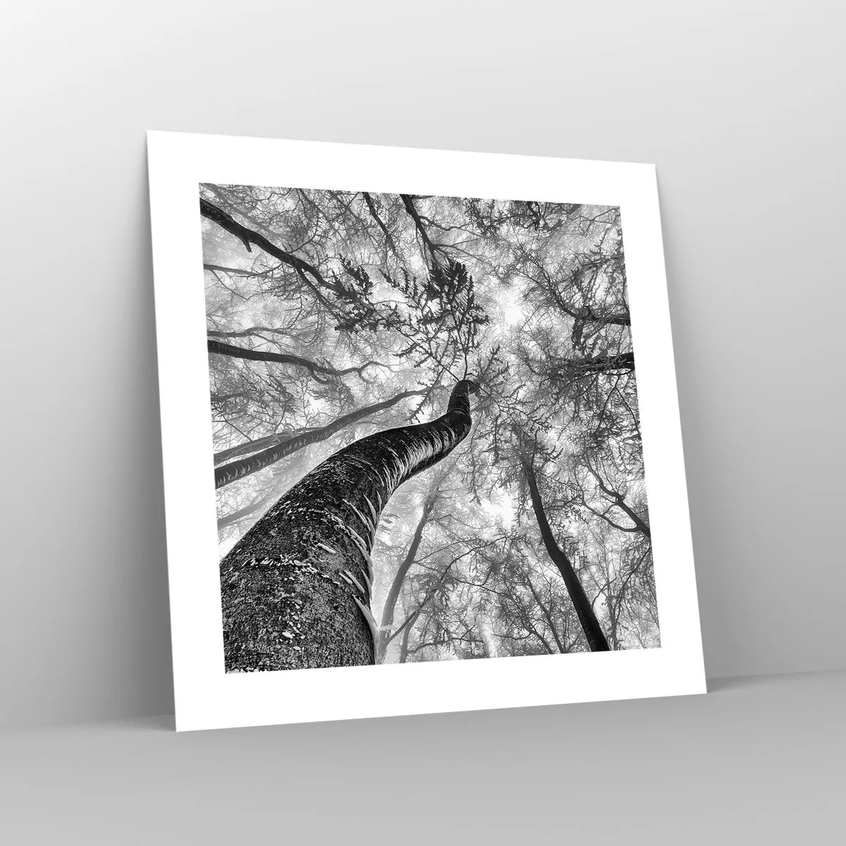 Poszter - Verseny a fény felé - 40x40 cm