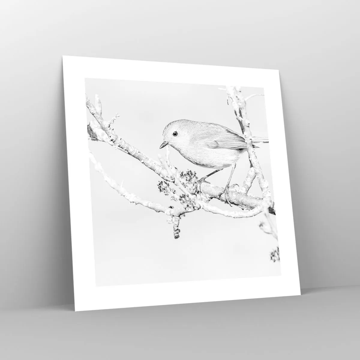 Poster - Wintermorgen - 40x40 cm