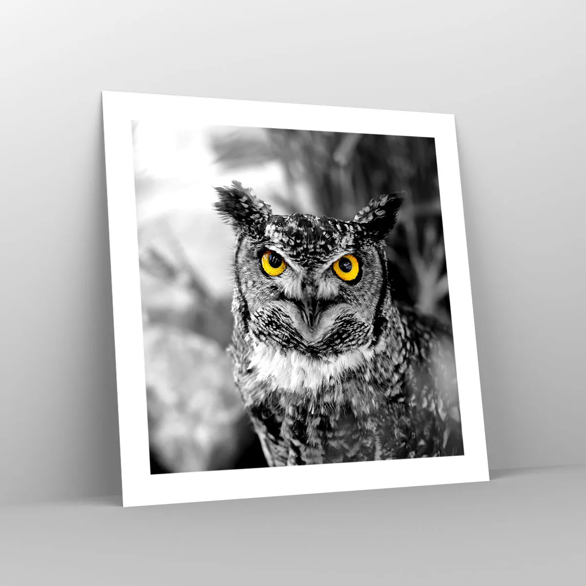 Poszter - Semmi sem fog elbújni - 50x50 cm