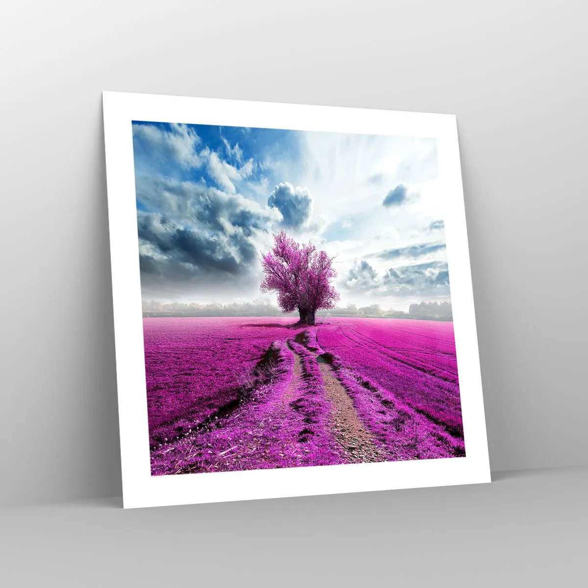 Poster - Câmpul cu iarbă neagră - 50x50 cm