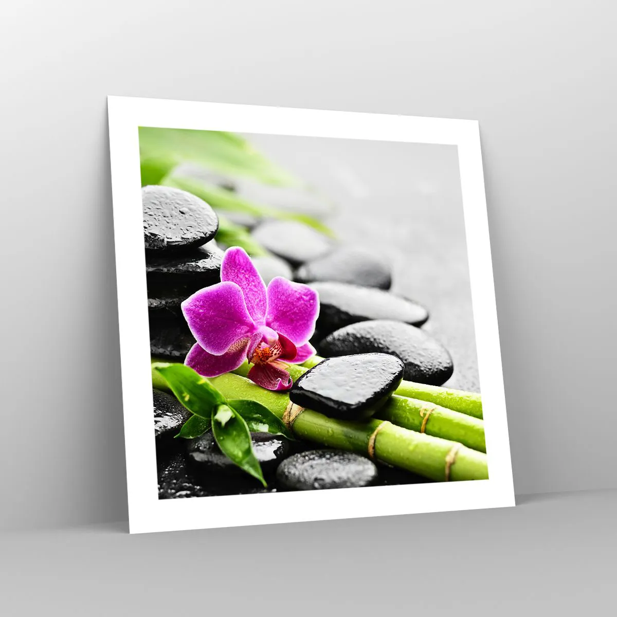 Poster - Într-un echilibru pașnic - 50x50 cm