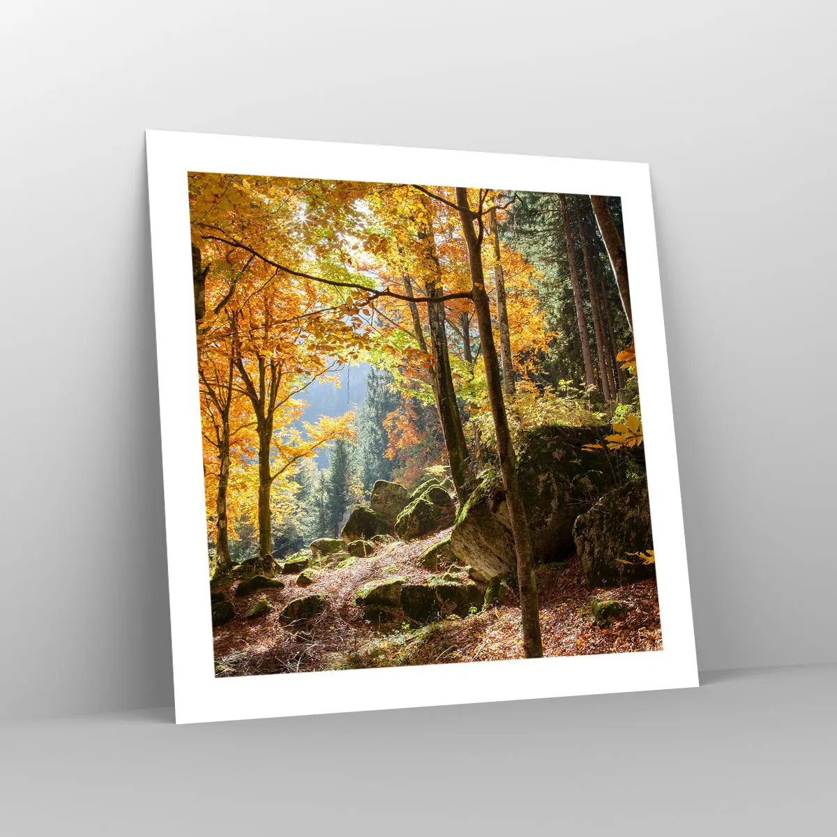 Poster - Time for Rest - 50x50 cm