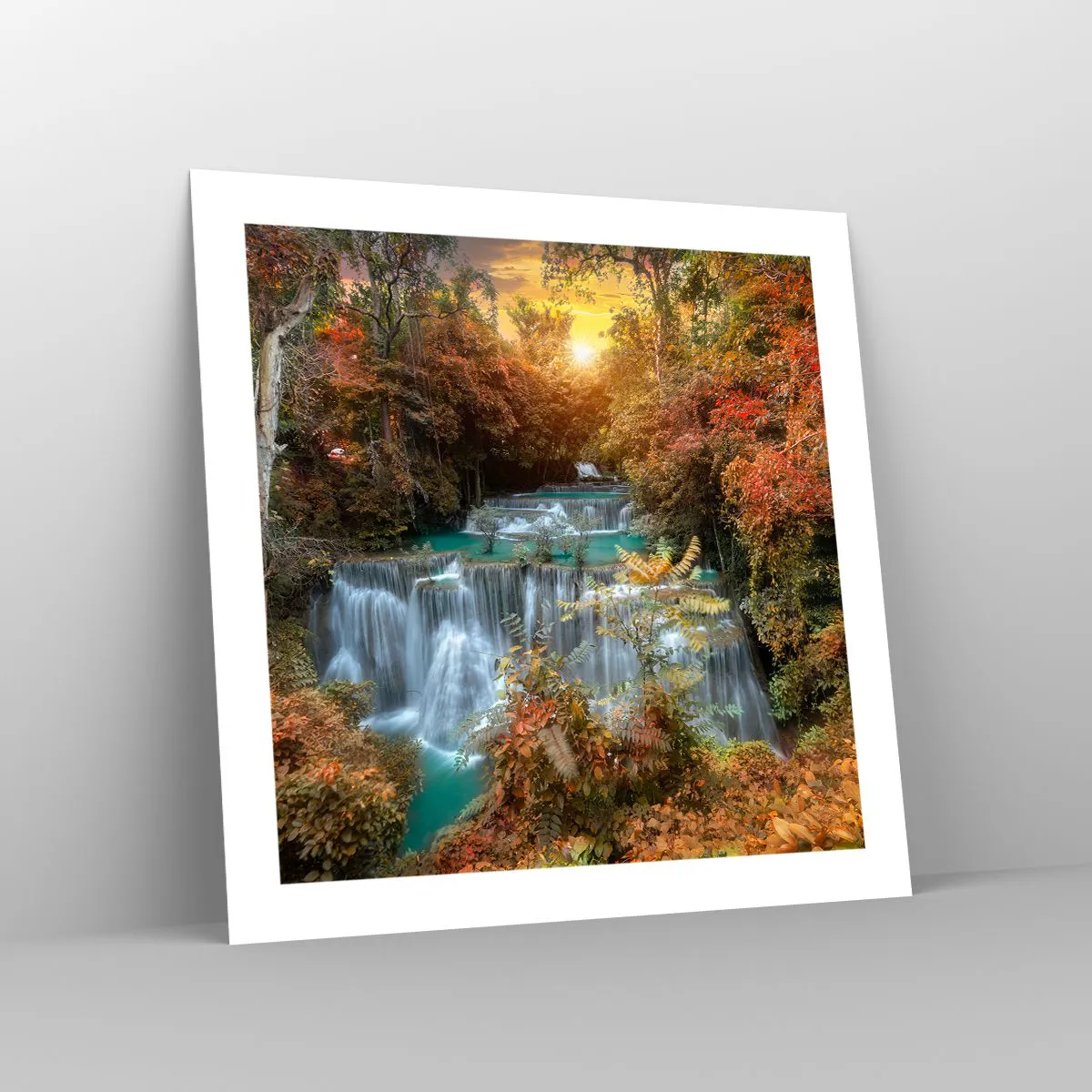 Poster - Versteckter Schatz des Waldes - 50x50 cm