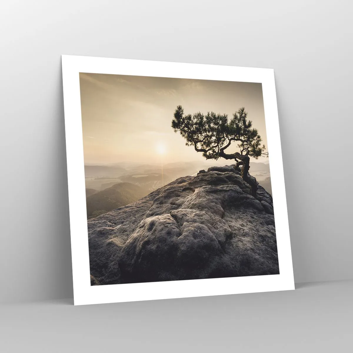 Poster - Het leven wint altijd - 50x50 cm