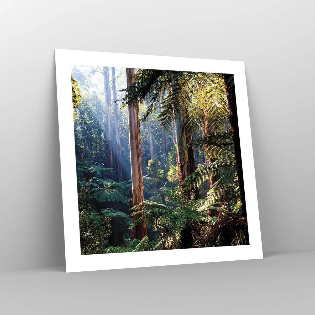 Poszter - Erdei mese - 50x50 cm