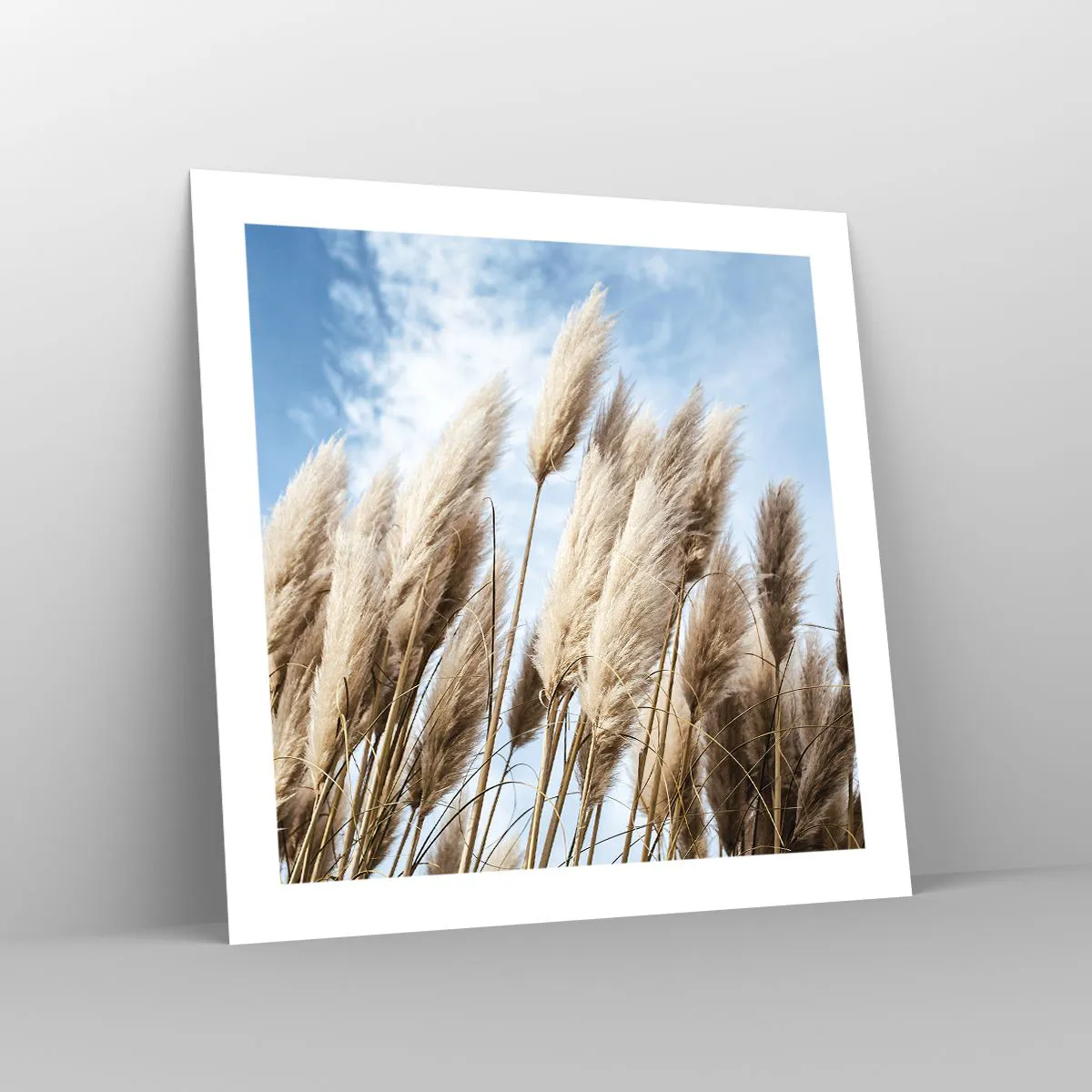 Plakát - Slunečné a větrné pohlazení - 50x50 cm