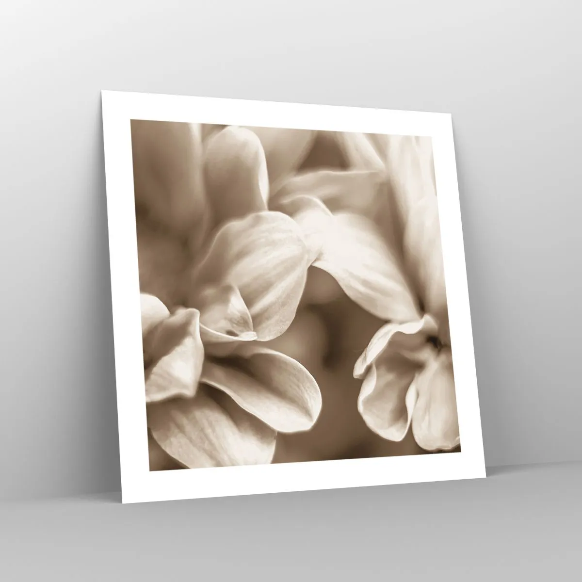 Affiche - Poster - Doux comme un sourire - 50x50 cm