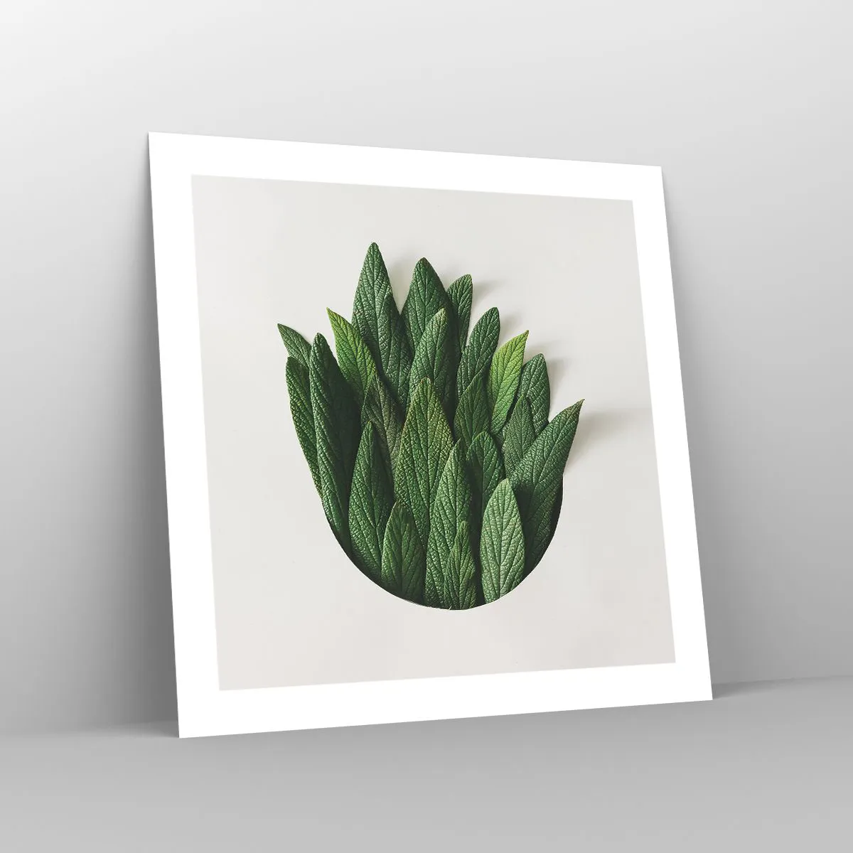 Affiche - Poster - Curiosité sans retenue - 50x50 cm