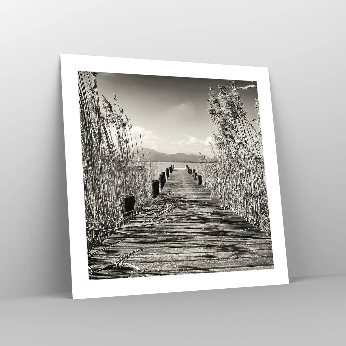 Affiche - Poster - Dans le calme de l'herbe - 50x50 cm