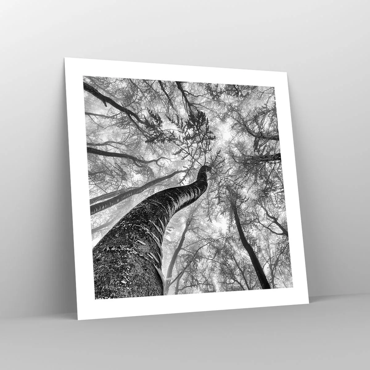 Plakat - Kapløb mod lyset - 50x50 cm