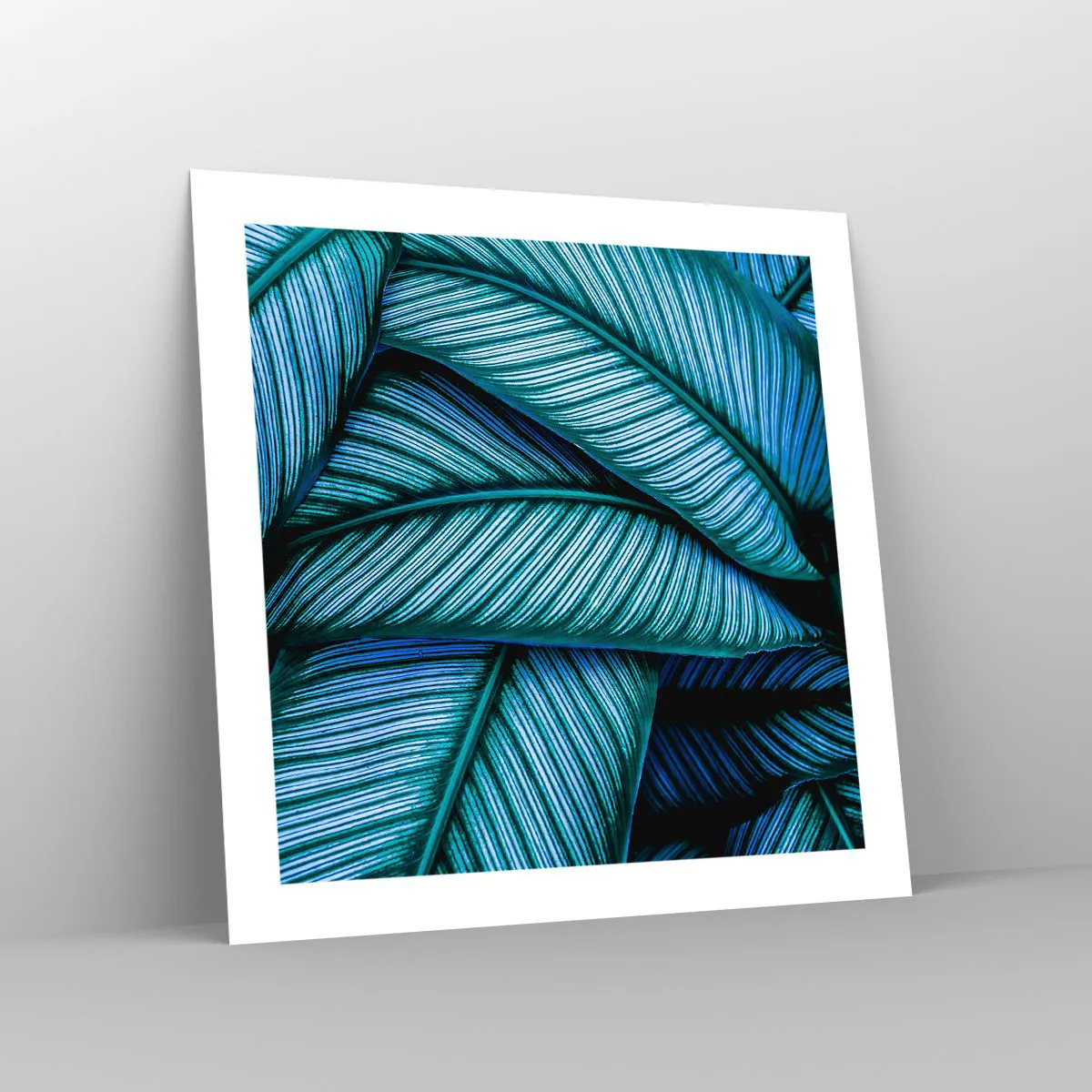 Poster - Lebenslinien - 50x50 cm