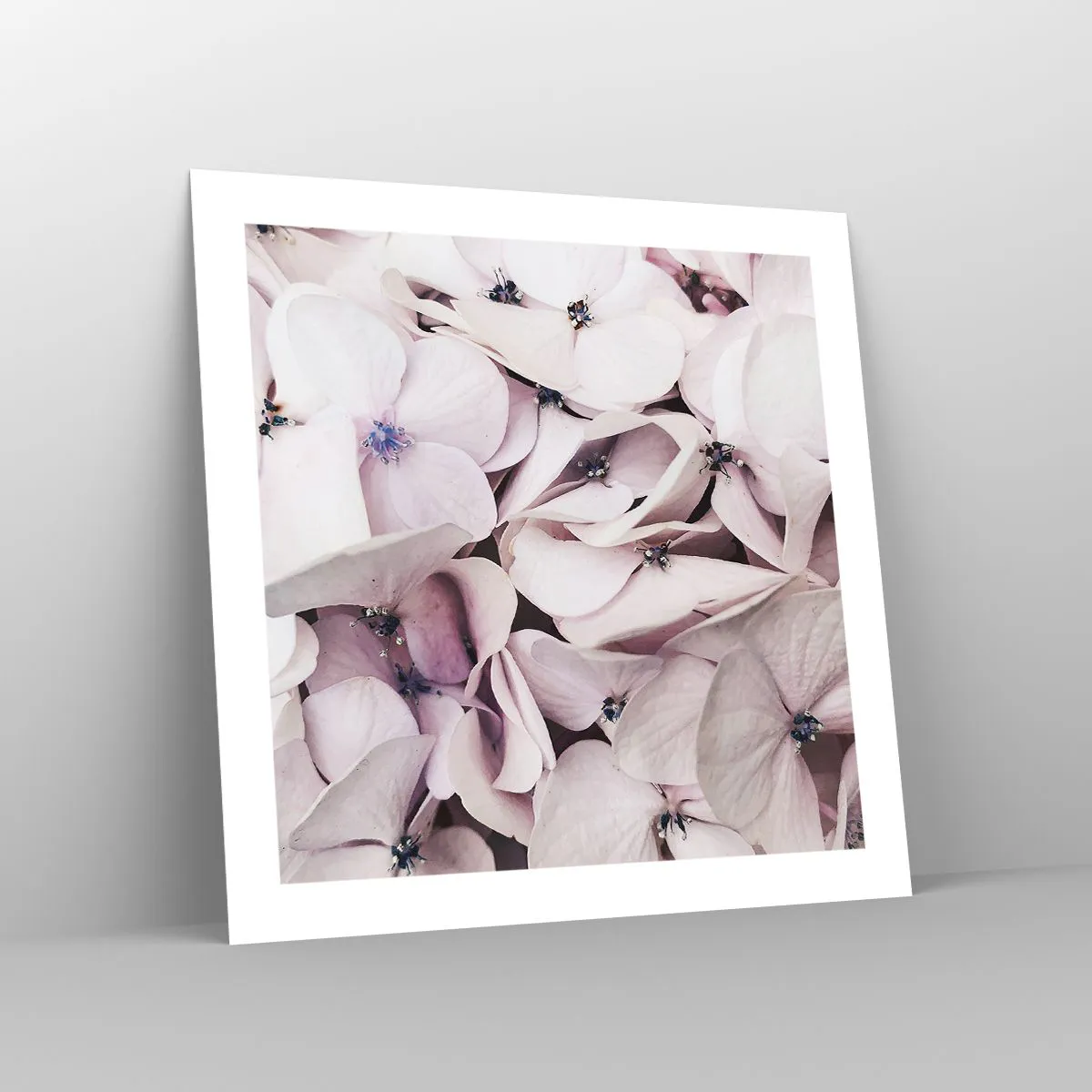 Poster - In einer Blumenflut - 50x50 cm