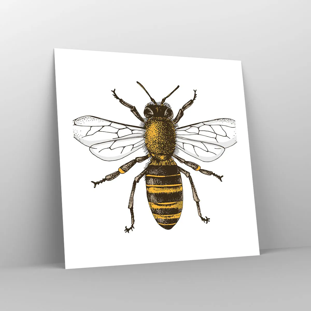 Plakát - Krásná a dobrá - 50x50 cm