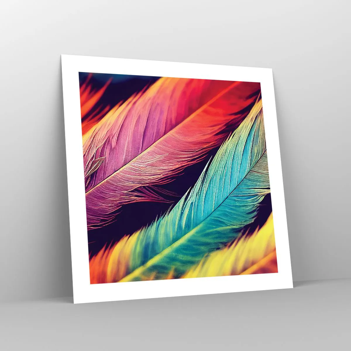Affiche - Poster - Arc-en-ciel de plumes - 50x50 cm
