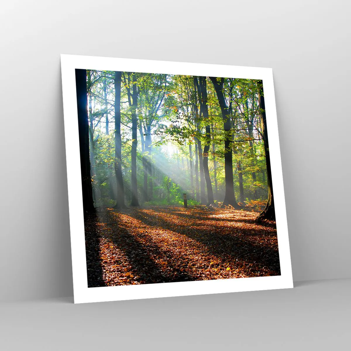 Poszter - Ragyogások és árnyékok - 60x60 cm