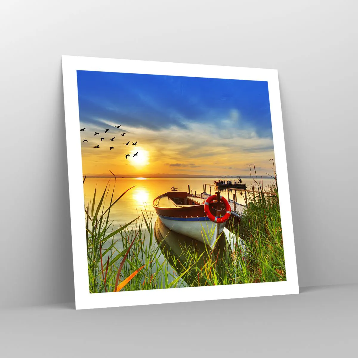 Poszter - A kormoránok már repülnek el - 60x60 cm