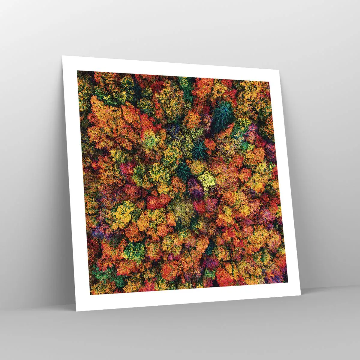Poster - Blumenstrauß aus Herbstbäumen - 60x60 cm