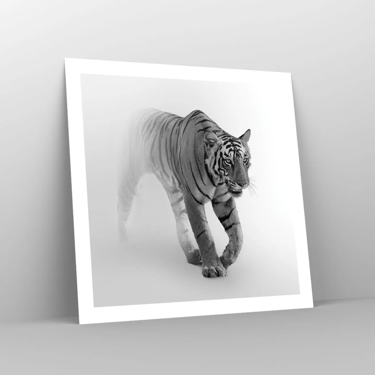 Póster - Siempre alerta entre la niebla - 60x60 cm