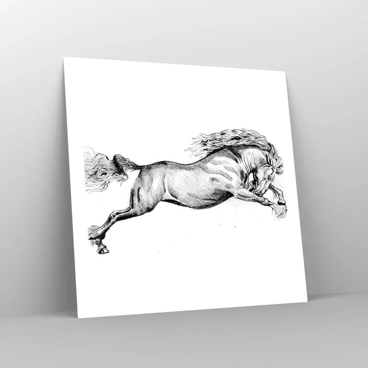 Affiche - Poster - Immortalisé au galop - 60x60 cm