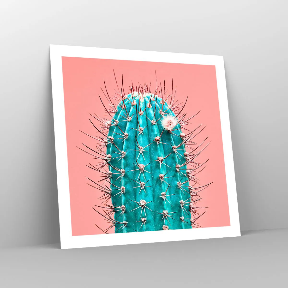 Affiche - Poster - Juste regarde - 60x60 cm