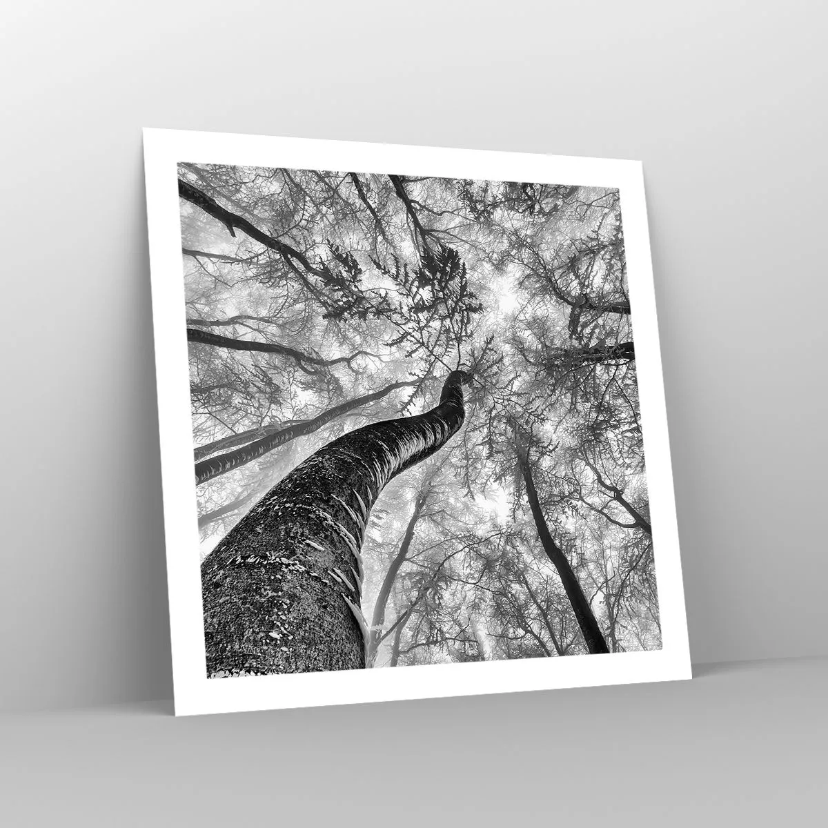 Plakat - Kapløb mod lyset - 60x60 cm