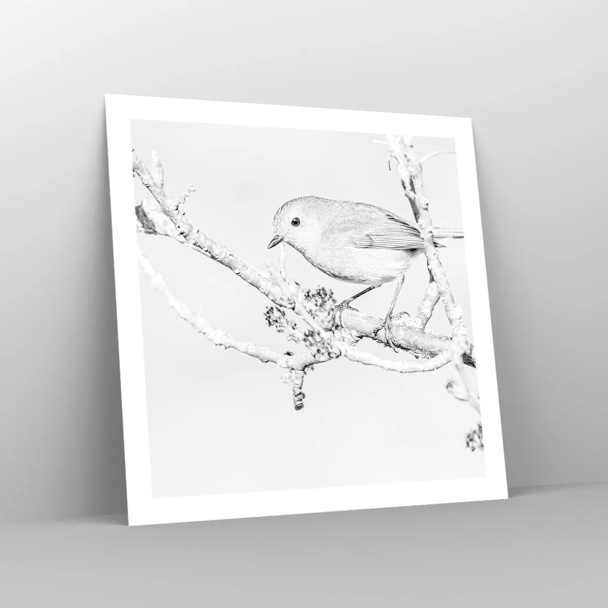 Poster - Winterochtend - 60x60 cm