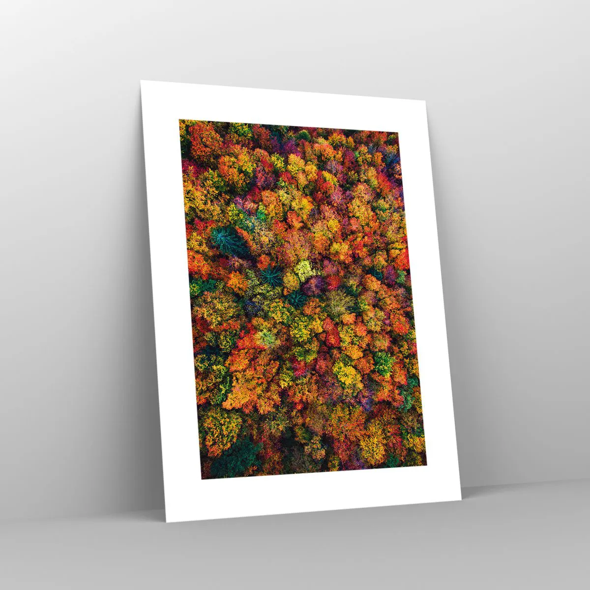 Plakát - Kytice podzimních stromů - 30x40 cm