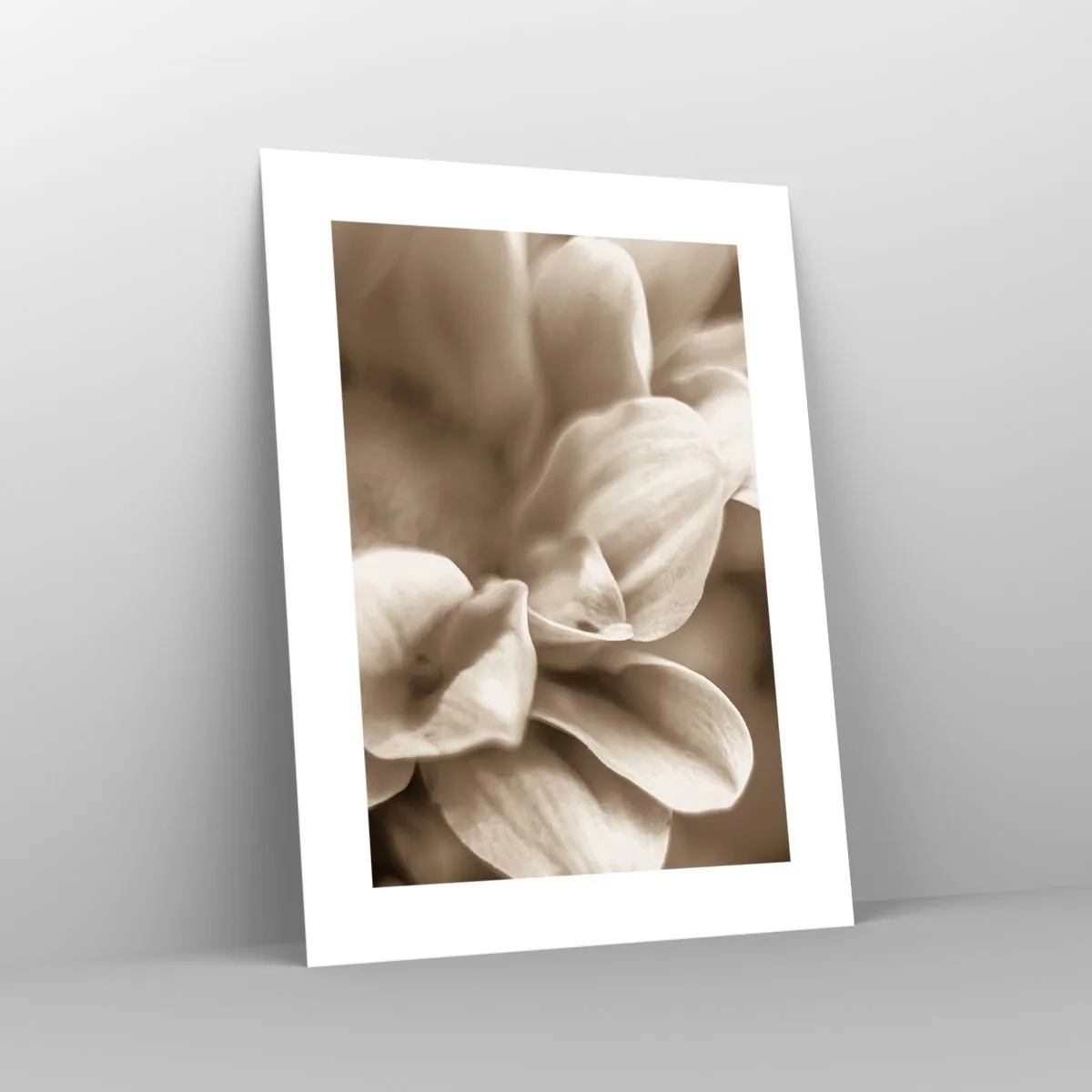 Affiche - Poster - Doux comme un sourire - 30x40 cm