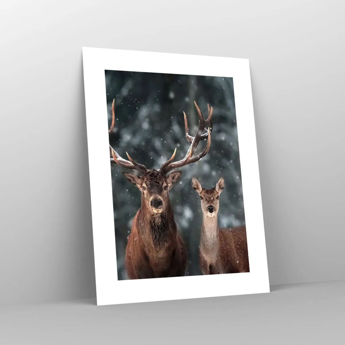 Poszter - Az erdő ura a feleségével - 30x40 cm