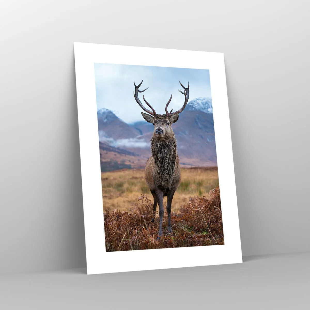 Poster - On Your Own Land - 30x40 cm