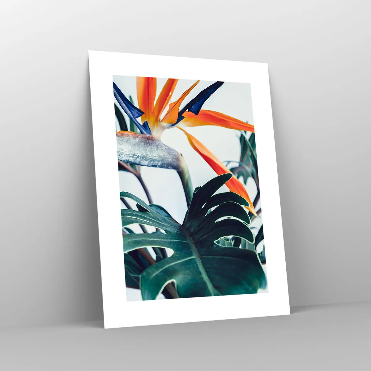 Plakát - Ptákeř - 30x40 cm