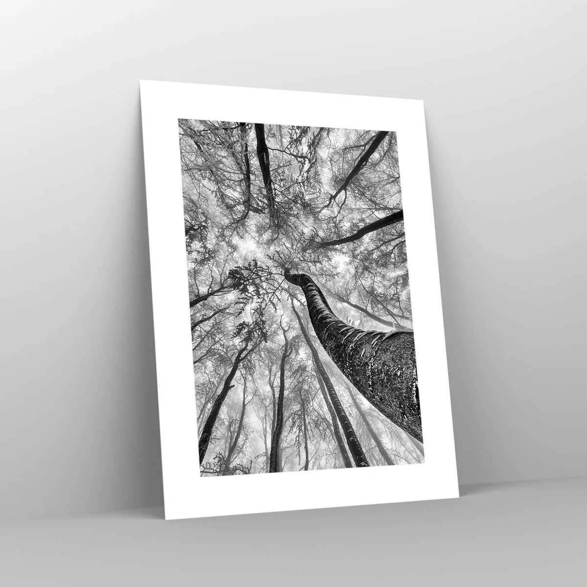 Affiche - Poster - Course vers la lumière - 30x40 cm