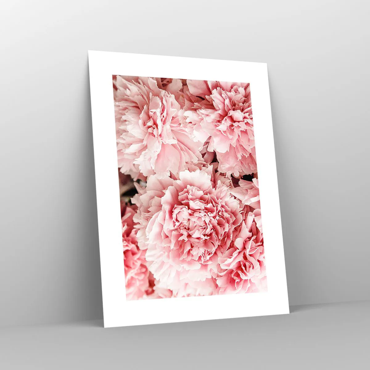 Affisch - Rosa dröm - 30x40 cm