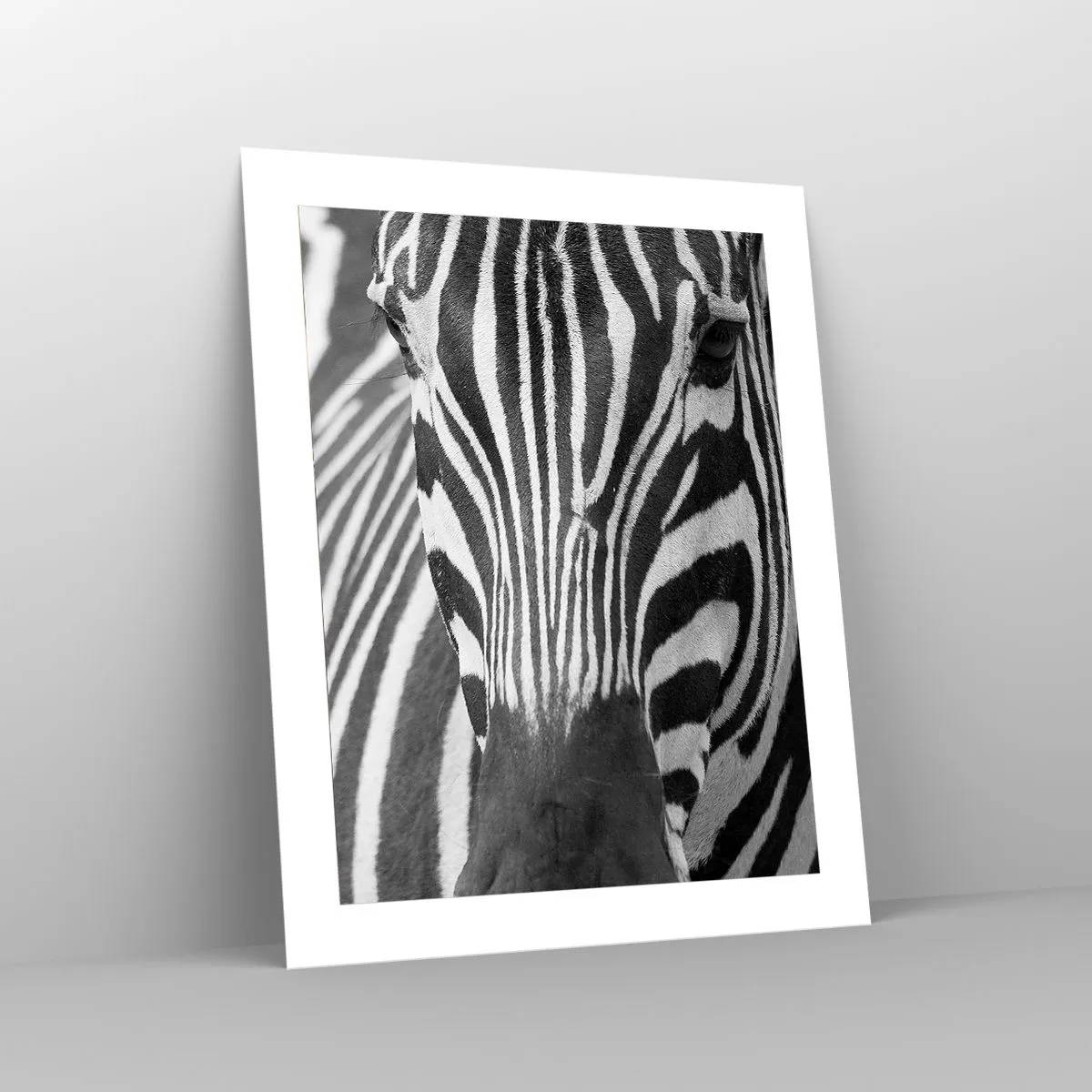 Poszter - A világ fekete-fehér - 40x50 cm