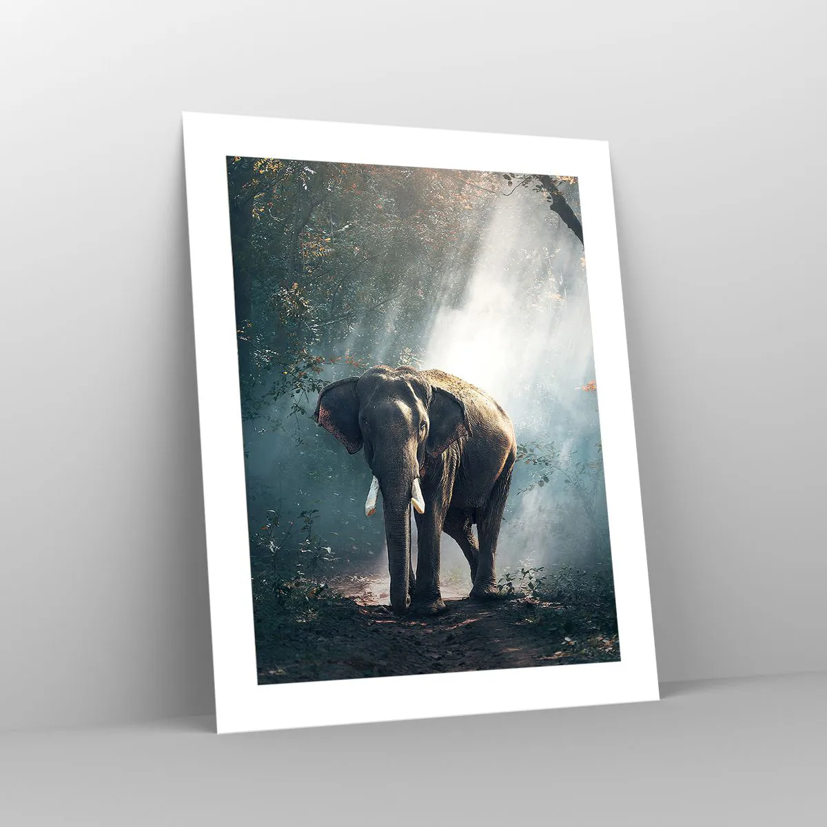 Poszter - Nyugodt séta - 40x50 cm