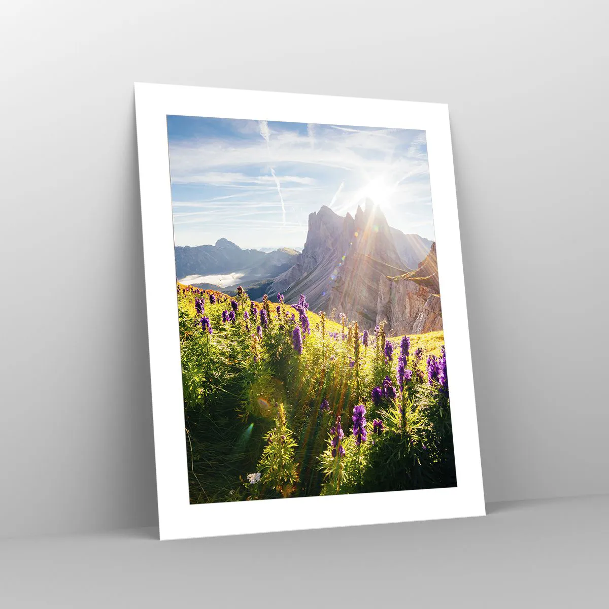 Plakát - Tajemný život bylin - 40x50 cm