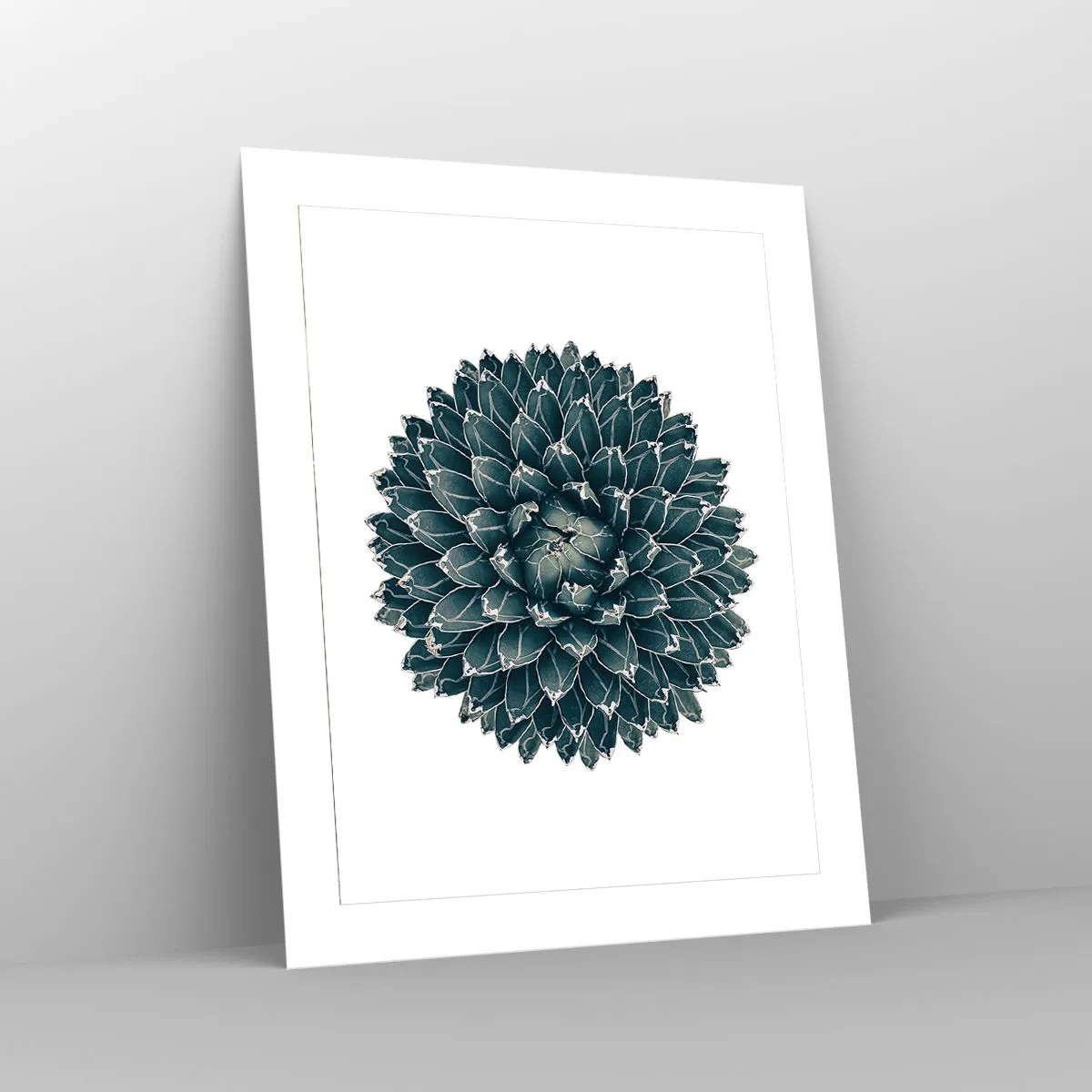 Plakat - Ørkenstjerne - 40x50 cm