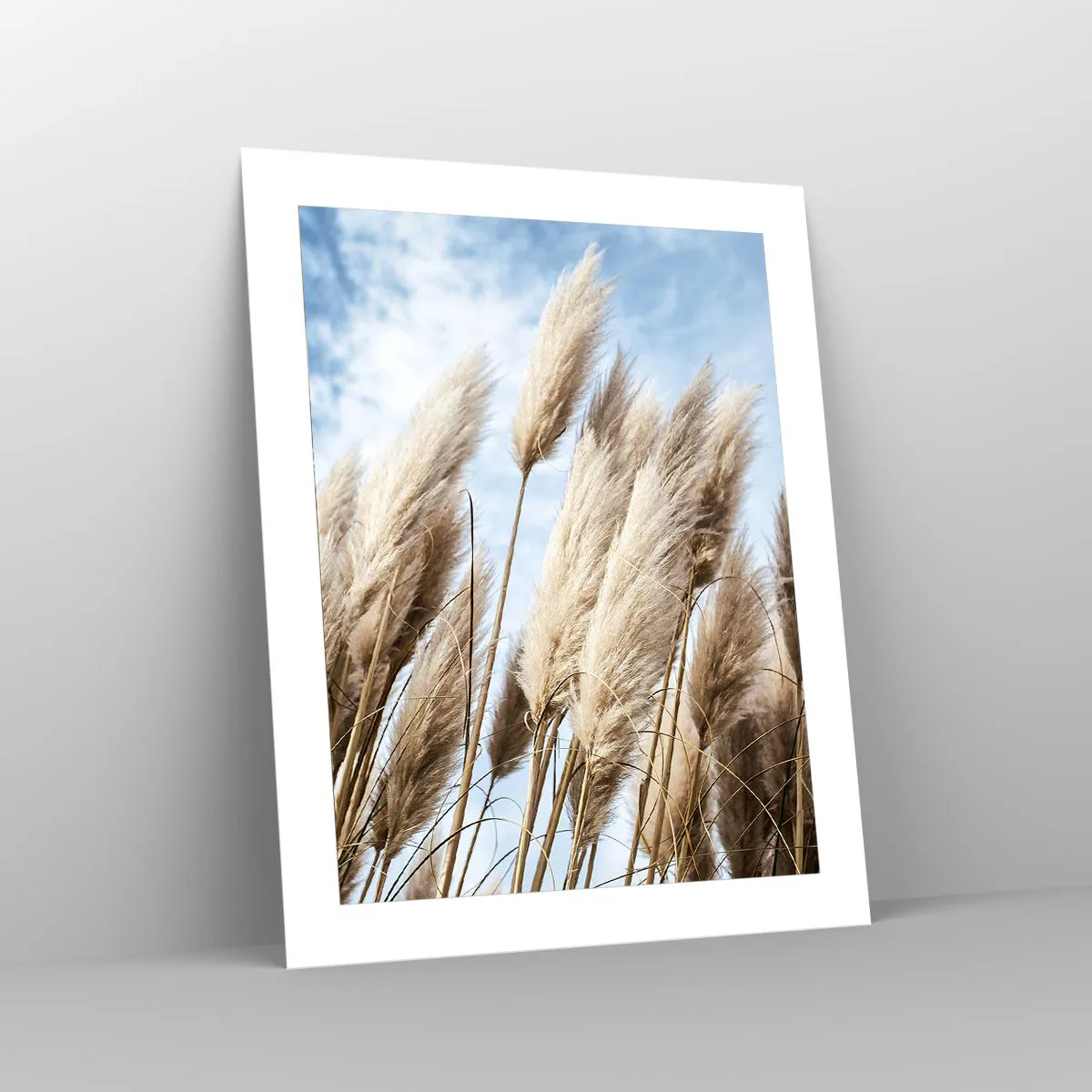 Plakat - Słoneczna i wietrzna pieszczota - 40x50 cm