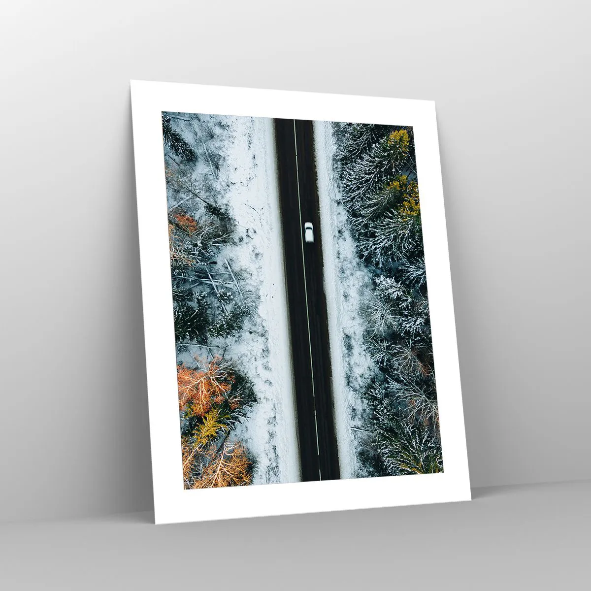 Pôster - Cortar a floresta no inverno - 40x50 cm