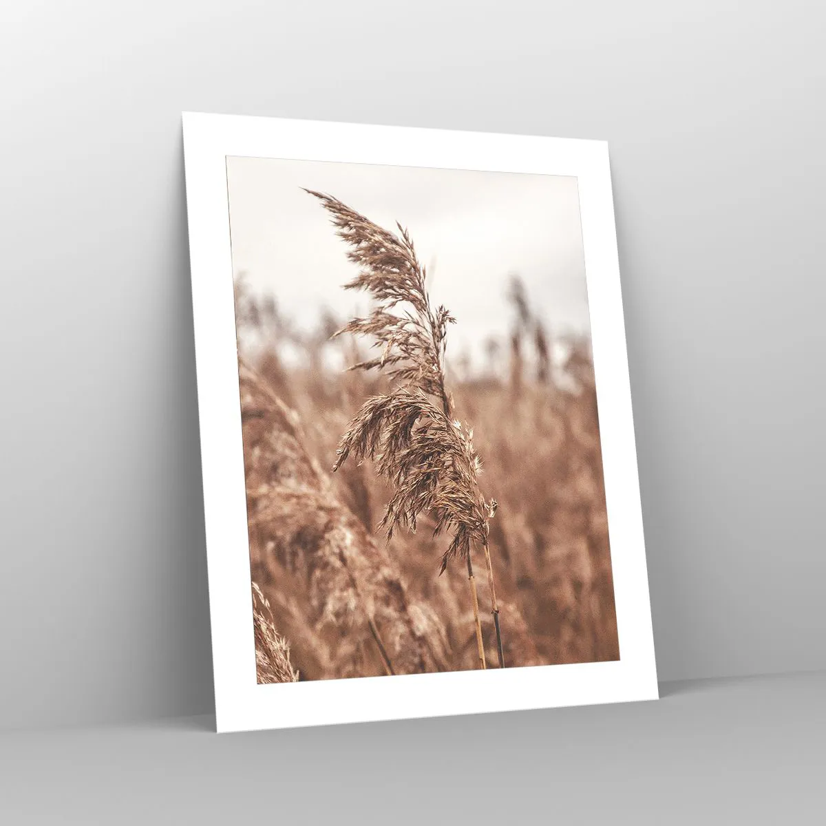 Plakát - Na polích už je podzim - 40x50 cm