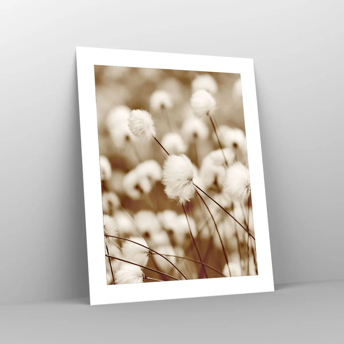 Poster - Flauschiges Kornfeld - 40x50 cm