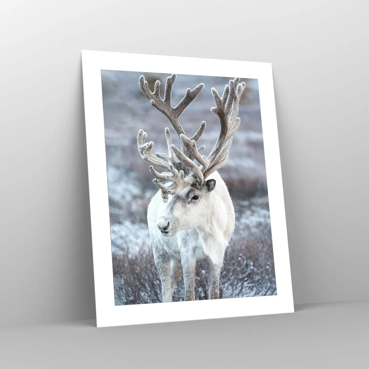 Poster - Portrait in the Sun - 40x50 cm