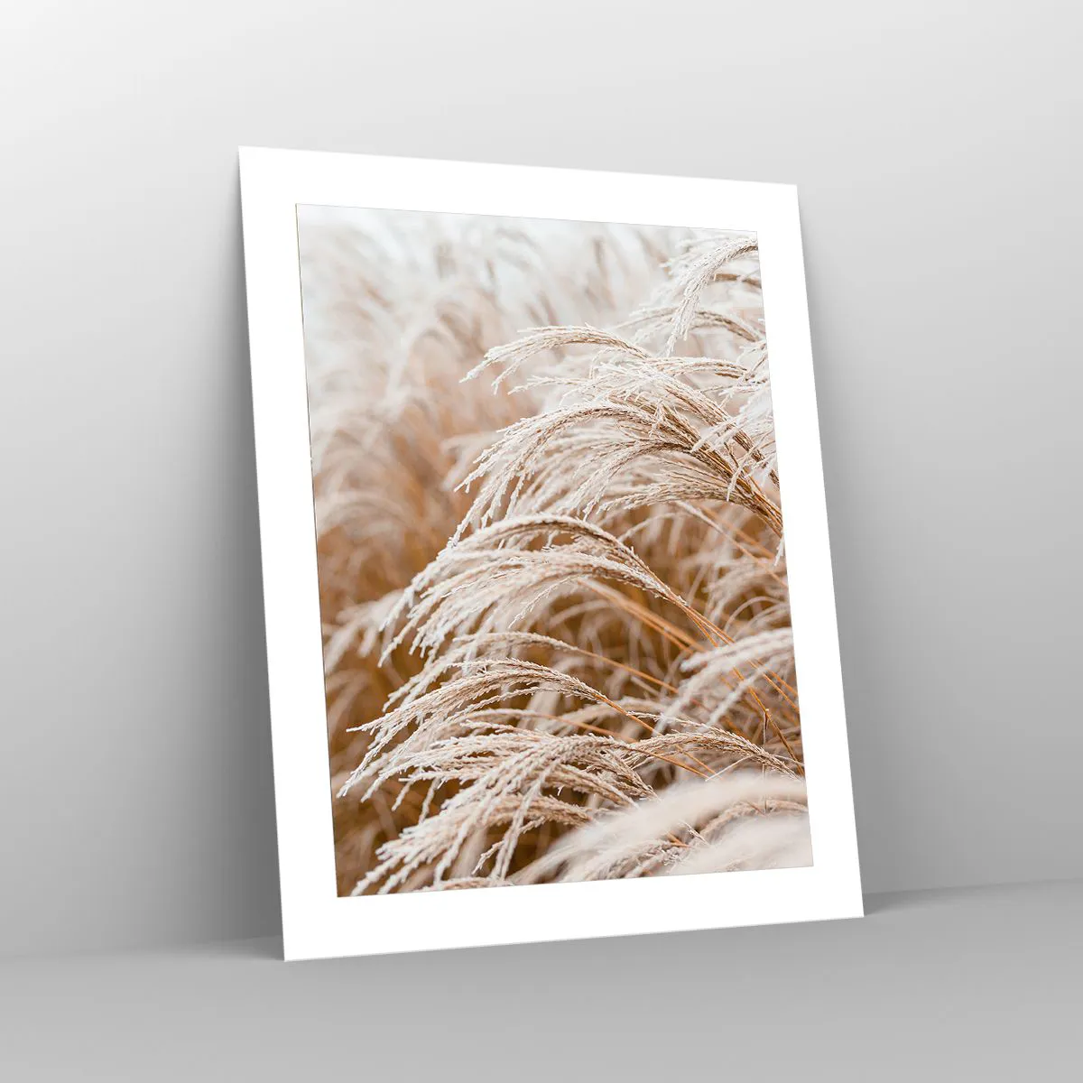 Plakat - Pokłon jesiennemu słońcu - 40x50 cm