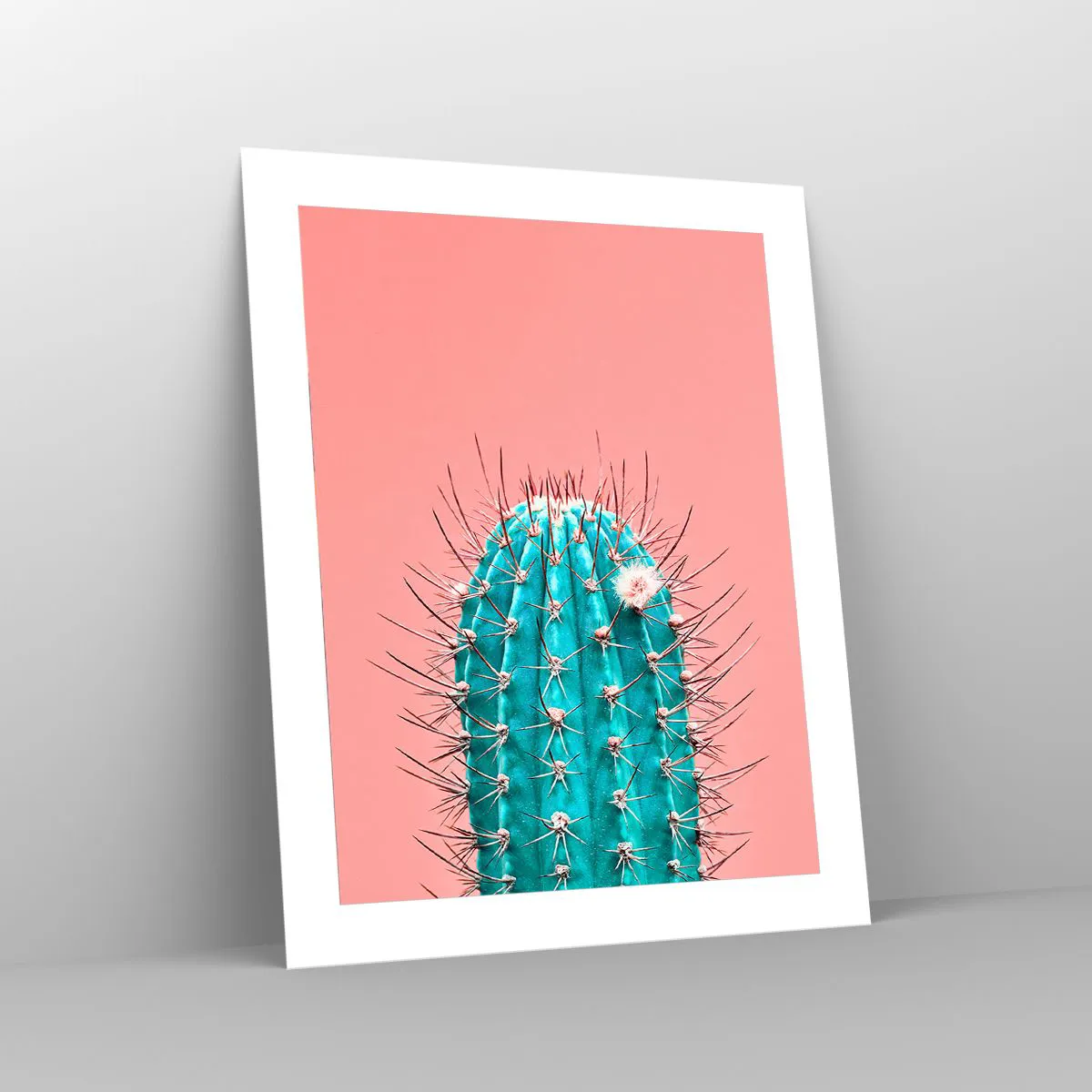 Affiche - Poster - Juste regarde - 40x50 cm