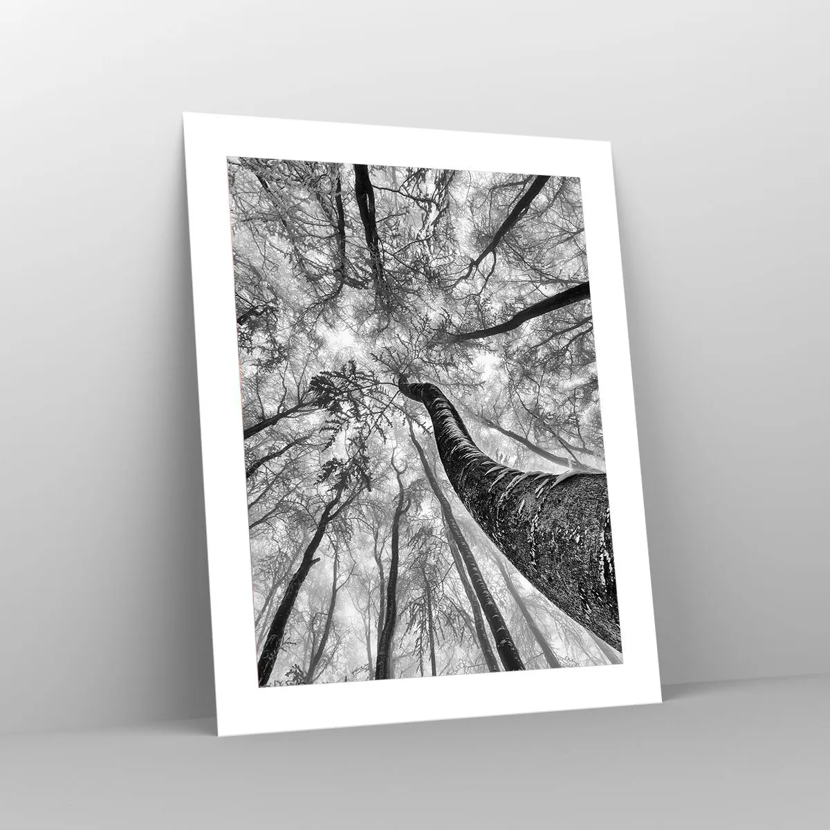 Plakat - Kapløb mod lyset - 40x50 cm