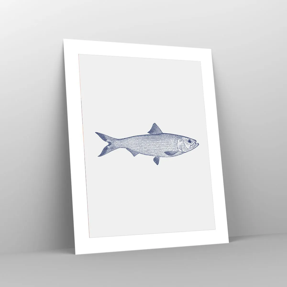 Plakat - Pozdrowienia z północnych mórz - 40x50 cm